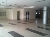 Cho thuê văn phòng tại đường Tây Thạnh, diện tích 400m2 giá 200k/m2 Cho thuê văn phòng tại đường Tây Thạnh, diện tích 400m2 giá 200k/m2