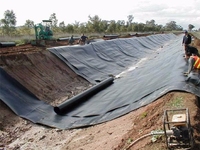 Màng chống thấm HDPE, bạt lót nylon giá rẻ chất lượng cho công trình Màng chống thấm HDPE, bạt lót nylon giá rẻ chất lượng cho công trình