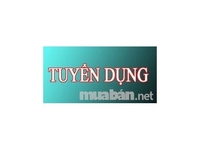Cần tuyển 01 Kế Toán Văn Phòng Cần tuyển 01 Kế Toán Văn Phòng