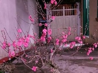 Bán đất Lạc Long Quân Tây Hồ 46m2, mặt tiền 4,2m, 3,4 tỷ Bán đất Lạc Long Quân Tây Hồ 46m2, mặt tiền 4,2m, 3,4 tỷ