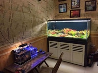 Bán nhà Thụy Khuê Tây Hồ 27m2, 4 tầng, MT 3,1m, 2,2 tỷ, cách ô tô 50m Bán nhà Thụy Khuê Tây Hồ 27m2, 4 tầng, MT 3,1m, 2,2 tỷ, cách ô tô 50m