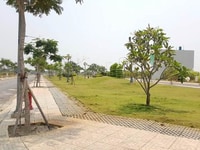 Bán đất mặt tiền Nguyễn Hữu Trí, Tân Túc, Hồ Chí Minh, 130m2 giá 340tr Bán đất mặt tiền Nguyễn Hữu Trí, Tân Túc, Hồ Chí Minh, 130m2 giá 340tr