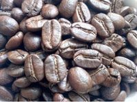 Mua cà phê sạch nguyên chất Arabica buorbon tặng cà phê robusta Mua cà phê sạch nguyên chất Arabica buorbon tặng cà phê robusta