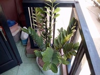 Bán nhà phân lô bố làm công an, 35m2 xây 5 tầng chỉ 4.6 tỷ !!! Bán nhà phân lô bố làm công an, 35m2 xây 5 tầng chỉ 4.6 tỷ !!!