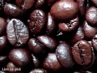 Làm thế nào để mua cà phê hạt sạch nguyên chất ở đâu rẻ nhất hcm? Làm thế nào để mua cà phê hạt sạch nguyên chất ở đâu rẻ nhất hcm?