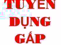 Tuyển tài xế B2, trở lên chạy xe tải giao hàng Tuyển tài xế B2, trở lên chạy xe tải giao hàng