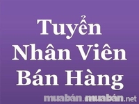 Cửa hàng mới khai trương cần tuyển nhân viên bán hàng Cửa hàng mới khai trương cần tuyển nhân viên bán hàng