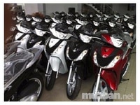 Chuyên cho thuê xe máy Tại Quận 1 – Quận 2 – Sài Gòn Mio – Attila Chuyên cho thuê xe máy Tại Quận 1 – Quận 2 – Sài Gòn Mio – Attila