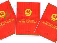 Bán đất đấu giá KĐT Nam Trung Yên 105m, MT 6.5m, đường 21m Bán đất đấu giá KĐT Nam Trung Yên 105m, MT 6.5m, đường 21m