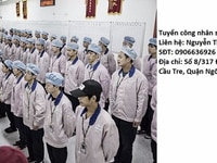 Cần tuyển gấp 20 công nhân nam, nữ đóng gói, dán tem mác sản phẩm Cần tuyển gấp 20 công nhân nam, nữ đóng gói, dán tem mác sản phẩm