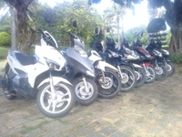 Cho thuê xe máy Phan Thiết & Mũi Né giá rẻ từ 50k, giao nhận tận nơi Cho thuê xe máy Phan Thiết & Mũi Né giá rẻ từ 50k, giao nhận tận nơi