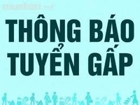 Tuyền người dọn dẹp văn phòng cong ty Tuyền người dọn dẹp văn phòng cong ty