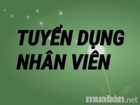 Cần tuyển nhân viên hỗ trợ văn phòng nhân sự Cần tuyển nhân viên hỗ trợ văn phòng nhân sự