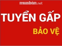 Tuyển 50 nam nữ bảo vệ, giám sát camera tòa nhà siêu thị lương 5 triệu Tuyển 50 nam nữ bảo vệ, giám sát camera tòa nhà siêu thị lương 5 triệu