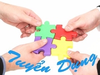Cần tuyển 3 lái xe cho công ty bánh kẹo Cần tuyển 3 lái xe cho công ty bánh kẹo