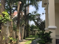 Cho thuê villa đường 66 Thảo Điền, Q.2. Gần Tropic garden Cho thuê villa đường 66 Thảo Điền, Q.2. Gần Tropic garden