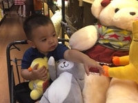 Nhà tôi 2 tầng, nhà có 2 vợ chồng và 2 con, một bé 8 tuổi và một bé 8t Nhà tôi 2 tầng, nhà có 2 vợ chồng và 2 con, một bé 8 tuổi và một bé 8t