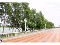 Chính chủ sang nhượng lại nền F3 sổ hồng rồi khu du lịch sinh thái phú Chính chủ sang nhượng lại nền F3 sổ hồng rồi khu du lịch sinh thái phú