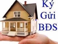 Cần mua đất Quận 9 gấp, đặc biệt các dự án trên đường Liên Phường Cần mua đất Quận 9 gấp, đặc biệt các dự án trên đường Liên Phường