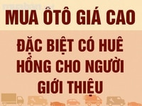 Cần mua gấp ô tô tải các loại, giá cao hơn thị trường, uy tín Cần mua gấp ô tô tải các loại, giá cao hơn thị trường, uy tín