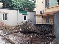 Bán đất Giá 1,2 tỷ, DT 32m2, Ngõ 452 Quang Trung - Hà Đông. Bán đất Giá 1,2 tỷ, DT 32m2, Ngõ 452 Quang Trung - Hà Đông.