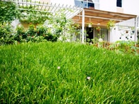 Căn hộ giá tốt Đông Bắc Sài Gòn, tiện ích cao cấp, trả góp 1%/ tháng Căn hộ giá tốt Đông Bắc Sài Gòn, tiện ích cao cấp, trả góp 1%/ tháng