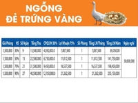 Cơ hội đầu tư sinh lời cao chỉ có ở Phan Thiết, chiết khấu 17% Cơ hội đầu tư sinh lời cao chỉ có ở Phan Thiết, chiết khấu 17%