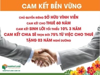 Đầu tư Aloha chỉ 917tr/căn cam kết lợi nhuận mỗi năm 10% tại sao không Đầu tư Aloha chỉ 917tr/căn cam kết lợi nhuận mỗi năm 10% tại sao không