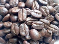 Cà phê hạt nguyên chất 100%, bán giá sỉ tốt cho đại lý kinh doanh cafe Cà phê hạt nguyên chất 100%, bán giá sỉ tốt cho đại lý kinh doanh cafe
