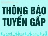 Tuyển nhân viên bán hàng và sắp xếp hàng hóa Tuyển nhân viên bán hàng và sắp xếp hàng hóa