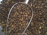Cà phê chồn tự nhiên làm quà tặng, quà biếu rang mộc và sạch 100% hcm Cà phê chồn tự nhiên làm quà tặng, quà biếu rang mộc và sạch 100% hcm