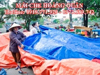 Bán bạt xanh cam, bạt 2 da, bạt dứa, bạt PE khổ lớn, may bạt che mưa Bán bạt xanh cam, bạt 2 da, bạt dứa, bạt PE khổ lớn, may bạt che mưa