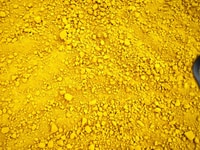 Berberin chiết xuất 100% từ cây Vàng Đắng Berberin chiết xuất 100% từ cây Vàng Đắng