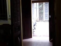 Nhà Cầu Giấy, Dịch Vọng, 38m2, 4 tầng, MT 3,6m, 3,6 tỷ, cách ô tô 20m Nhà Cầu Giấy, Dịch Vọng, 38m2, 4 tầng, MT 3,6m, 3,6 tỷ, cách ô tô 20m