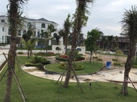 Cần bán tầng trệt chung cư 3 mặt tiền View công viên và hồ bơi Hóc Môn Cần bán tầng trệt chung cư 3 mặt tiền View công viên và hồ bơi Hóc Môn
