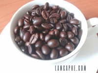 Tìm nhà phân phối & đại lý kinh doanh cà phê hạt nguyên chất Nam Định Tìm nhà phân phối & đại lý kinh doanh cà phê hạt nguyên chất Nam Định