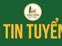 Nhân viên kế toán nội bộ tại văn phòng Nhân viên kế toán nội bộ tại văn phòng