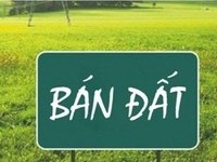 Bán lô đất mặt tiền đường Lạc Long Quân vị trí đẹp 256m2-75tr/m2 Bán lô đất mặt tiền đường Lạc Long Quân vị trí đẹp 256m2-75tr/m2