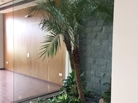 Nhà phân lô mặt ngõ Hoàng Quốc Việt, 50m2, 4 tầng, MT 4,5m, 7 tỷ, ô tô Nhà phân lô mặt ngõ Hoàng Quốc Việt, 50m2, 4 tầng, MT 4,5m, 7 tỷ, ô tô