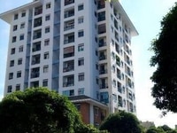 Chung cư 312 Lạc Long Quân, Q.11. DT 67m2. TK 2PN, giá 1.95 tỷ Chung cư 312 Lạc Long Quân, Q.11. DT 67m2. TK 2PN, giá 1.95 tỷ