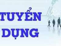 Nhân Viên Hành Chính Nhân Sự Nhân Viên Hành Chính Nhân Sự