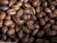Sản xuất & cung cấp Cafe hạt giá tốt thị trường cho đối tác kinh doanh Sản xuất & cung cấp Cafe hạt giá tốt thị trường cho đối tác kinh doanh