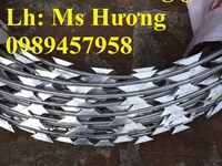 Dây kẽm gai chống trộm, Dây kẽm gai hình dao, dây thép gai Dây kẽm gai chống trộm, Dây kẽm gai hình dao, dây thép gai