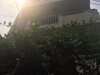Nhà Nguyên Căn Quang Trung 12*14m 2 lầu Gần Ủy Ban Quận Nhà Nguyên Căn Quang Trung 12*14m 2 lầu Gần Ủy Ban Quận