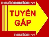 Cần tuyển nữ thợ phụ tóc Nam, cạo mặt, ráy tai, gội đầu Cần tuyển nữ thợ phụ tóc Nam, cạo mặt, ráy tai, gội đầu