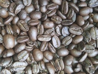 Phân phối Cà phê hạt, cà phê pha máy, cafe nguyên chất Phân phối Cà phê hạt, cà phê pha máy, cafe nguyên chất