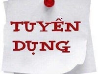 Tuyển Nhân Viên CEO Bất Động Sản Mua Bán & Cho Thuê Tuyển Nhân Viên CEO Bất Động Sản Mua Bán & Cho Thuê