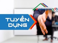 Tuyển dụng nhân viên bất động sản mua bán & cho thuê hà nội Tuyển dụng nhân viên bất động sản mua bán & cho thuê hà nội