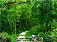 Tranh cành trúc 3D- Gạch tranh 3D Tranh cành trúc 3D- Gạch tranh 3D