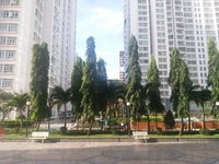Bán căn Penthouse Hoàng Anh Gia Lai 3, 300m2, 5 phòng giá 4 tỷ Bán căn Penthouse Hoàng Anh Gia Lai 3, 300m2, 5 phòng giá 4 tỷ